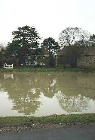 Ashmore pond