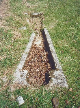 "Tess's grave"