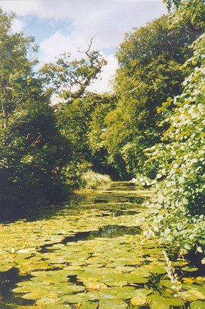 Fishponds