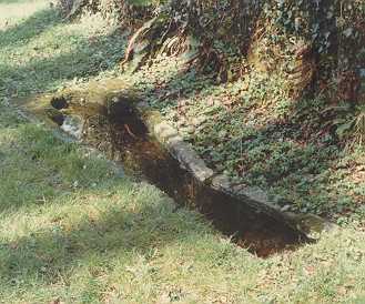 Bindon Abbey, Tess's grave