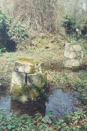 Bindon Abbey ruins, day-room